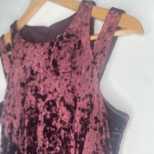 Maggy London Crushed Velvet Dress